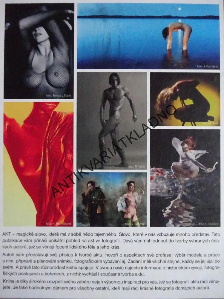 AKT, ENCYKLOPEDIE GRAFIKA A FOTOGRAFIE, NAUČTE SE FOTOGRAFOVAT KREATIVNĚ, **an
