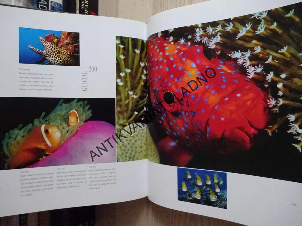 GLOBAL 200, MÍSTA, KTERÁ MUSÍME ZACHRÁNIT, **an