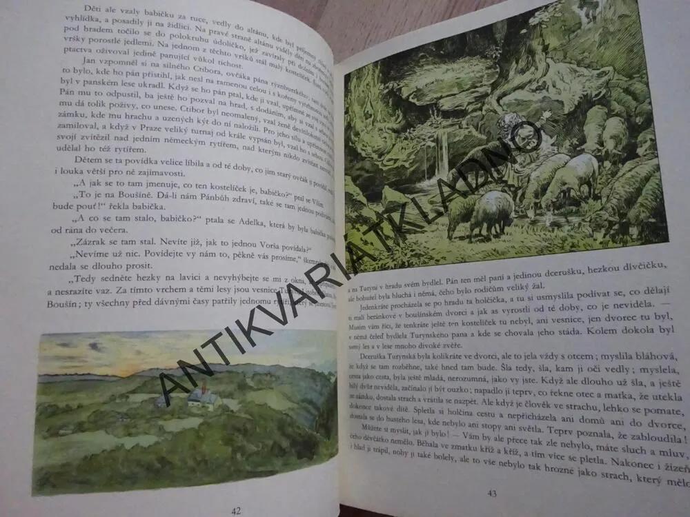 BABIČKA, BOŽENA NĚMCOVÁ, **an