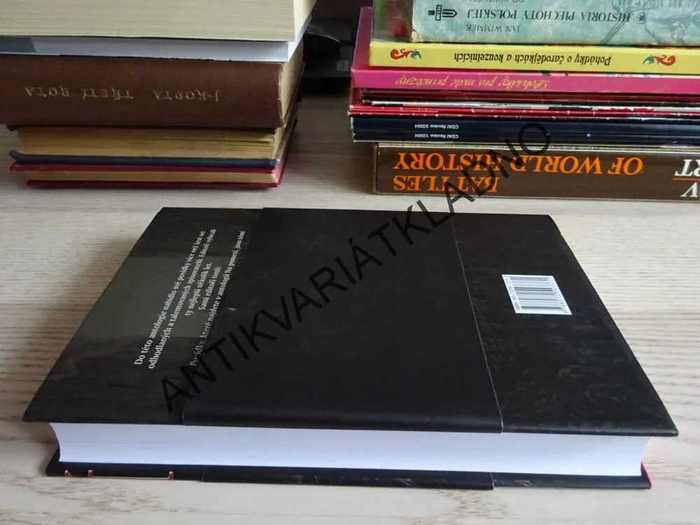 NA POMEZÍ, STEPHEN KING, **an