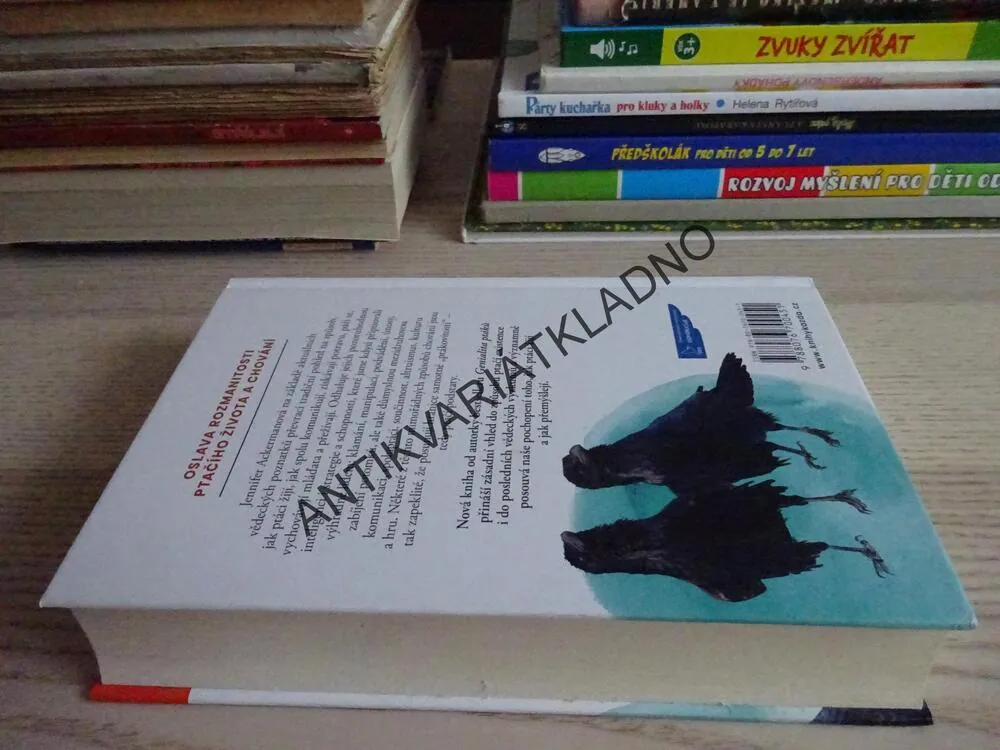 PTAČÍ ZPŮSOBY, JENNIFER ACKERMANOVÁ, **an