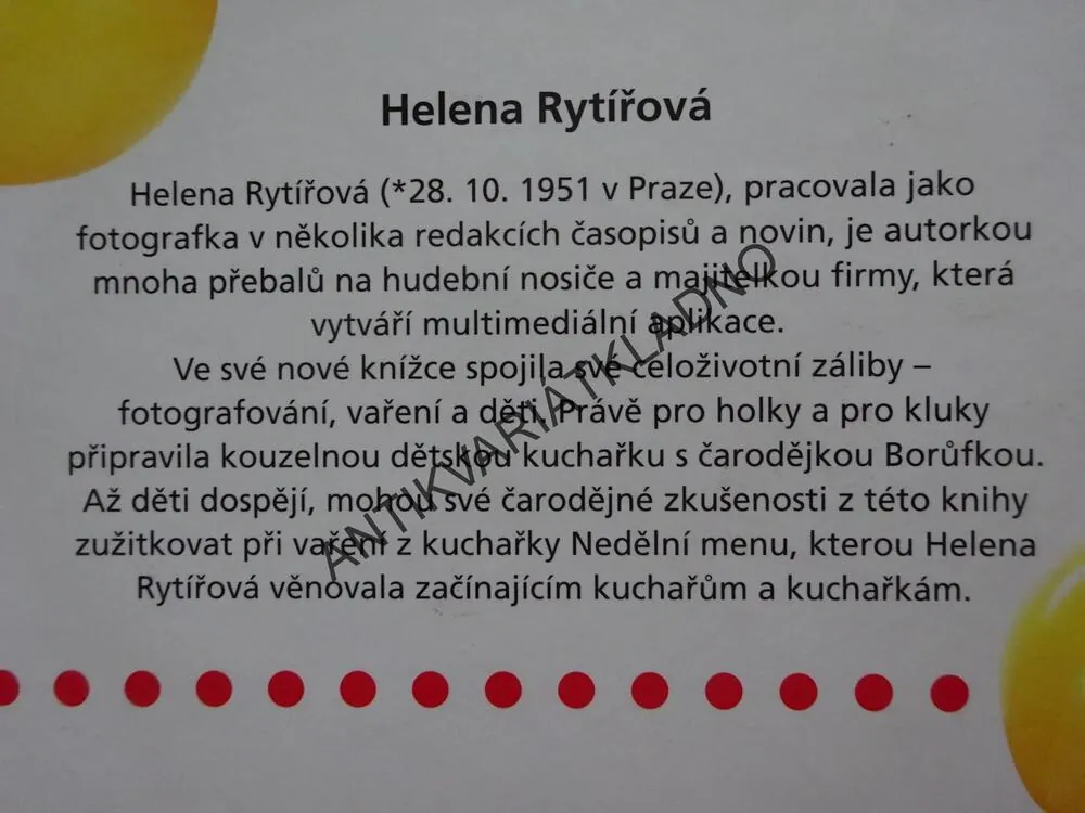 PÁRTY KUCHAŘKA PRO KLUKY A HOLKY PODLE ČARODĚJKY BORŮFKY, HELENA RYTÍŘOVÁ, **an