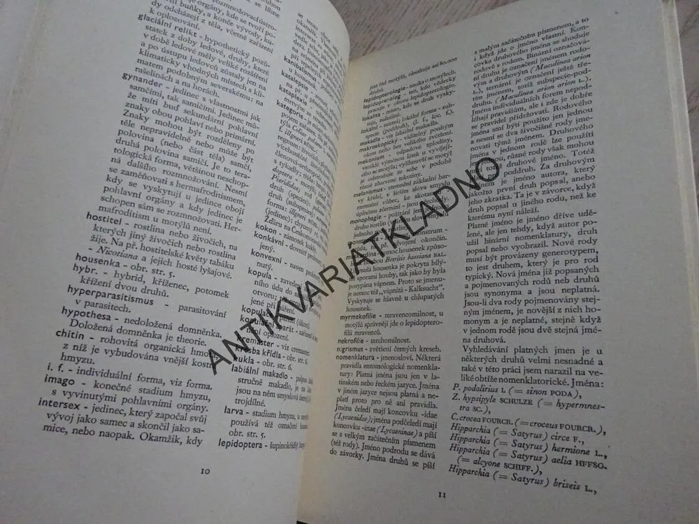MOTÝLI 1, RUDOLF SCHWARZ, **an