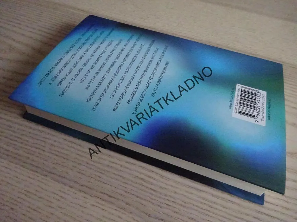 NA ŠPATNÉM MÍSTĚ, JOY FIELDINGOVÁ, **an