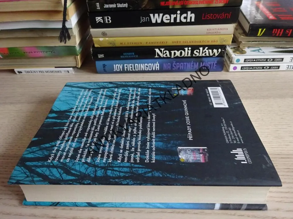 MATČIN HROB, LISA REGANOVÁ, **an