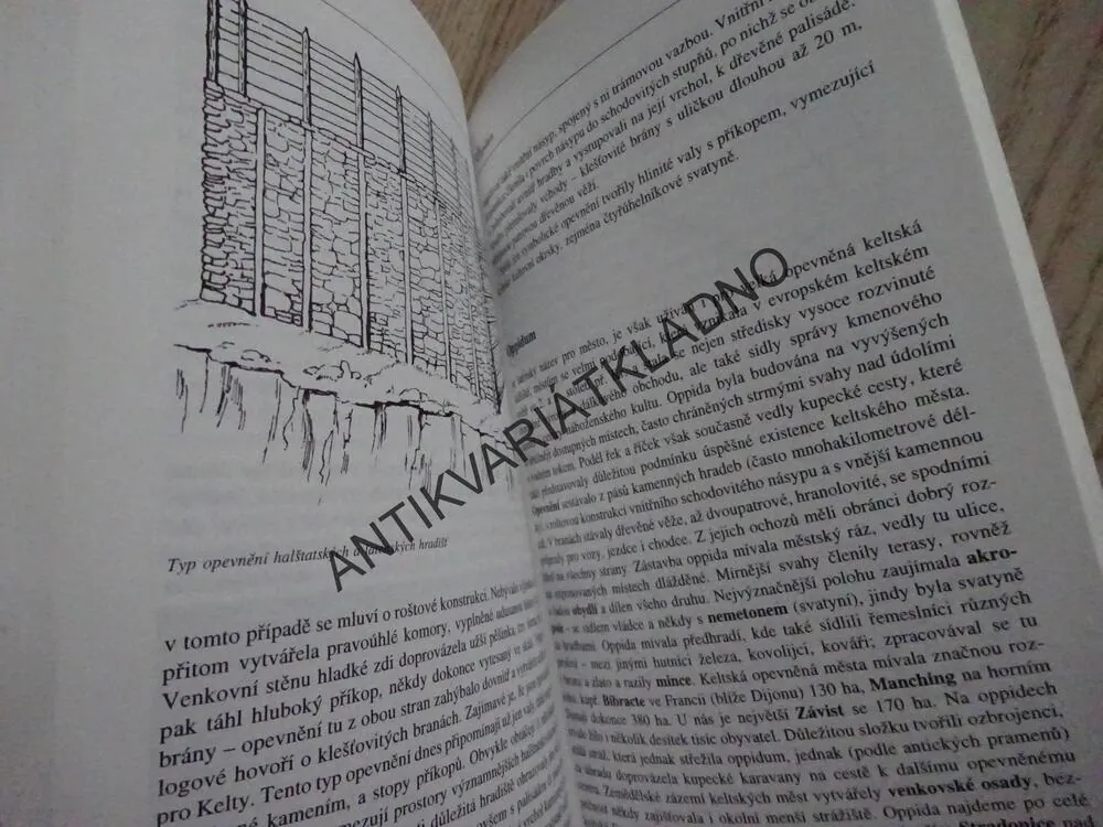 KELTOVÉ V ČECHÁCH, ANNA BAUEROVÁ, **an