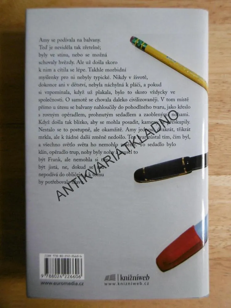 KURZ TVŮRČÍHO PSANÍ, DETEKTIVNÍ ROMÁN, JINCY WILLETTOVÁ, **an