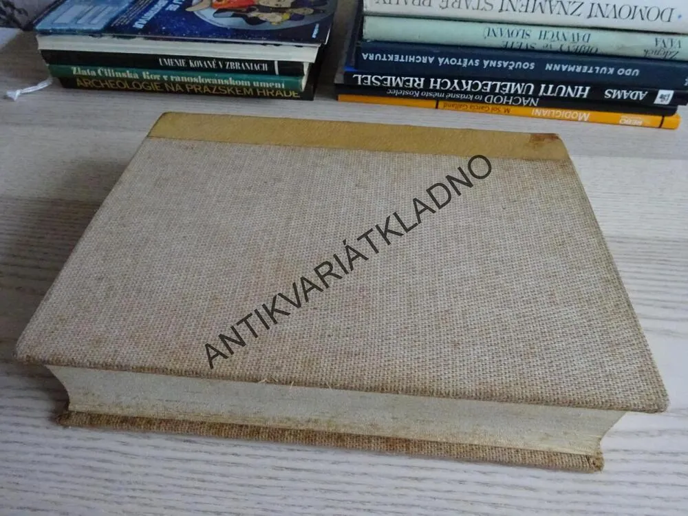 CHRÁM I TVRZ, PAVEL EISNER, **an