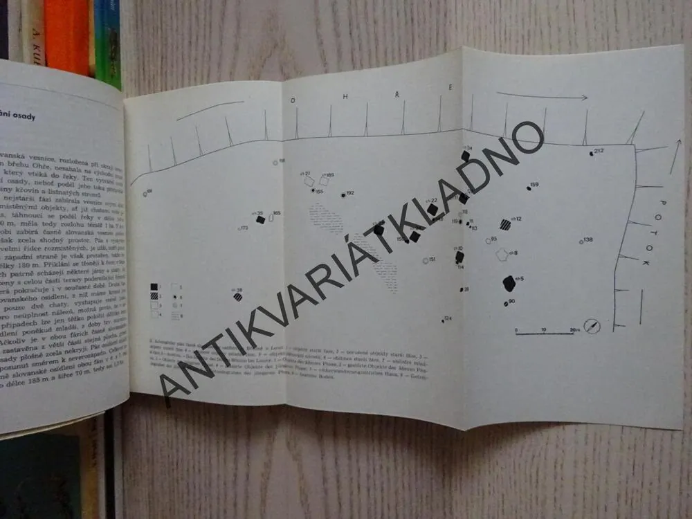 BŘEZNO, IVANA PLEINEROVÁ, **an