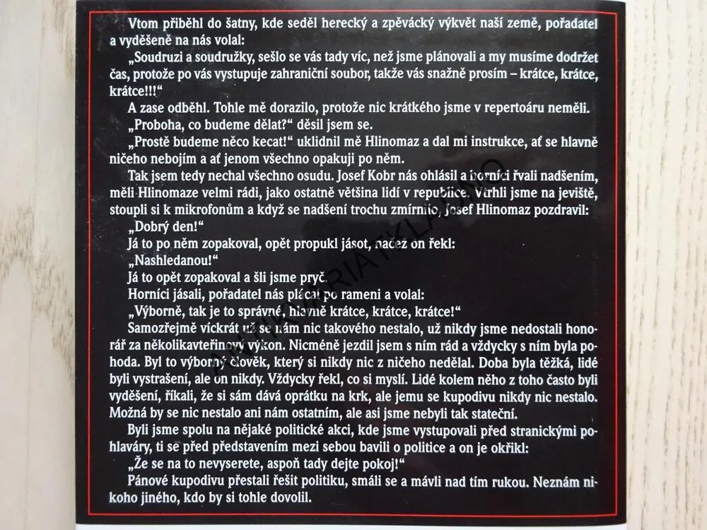 BÁJEČNÁ LÉTA V ŠOUBYZNYSU, MICHAL HERZÁN, MARIE FORMÁČKOVÁ, **an