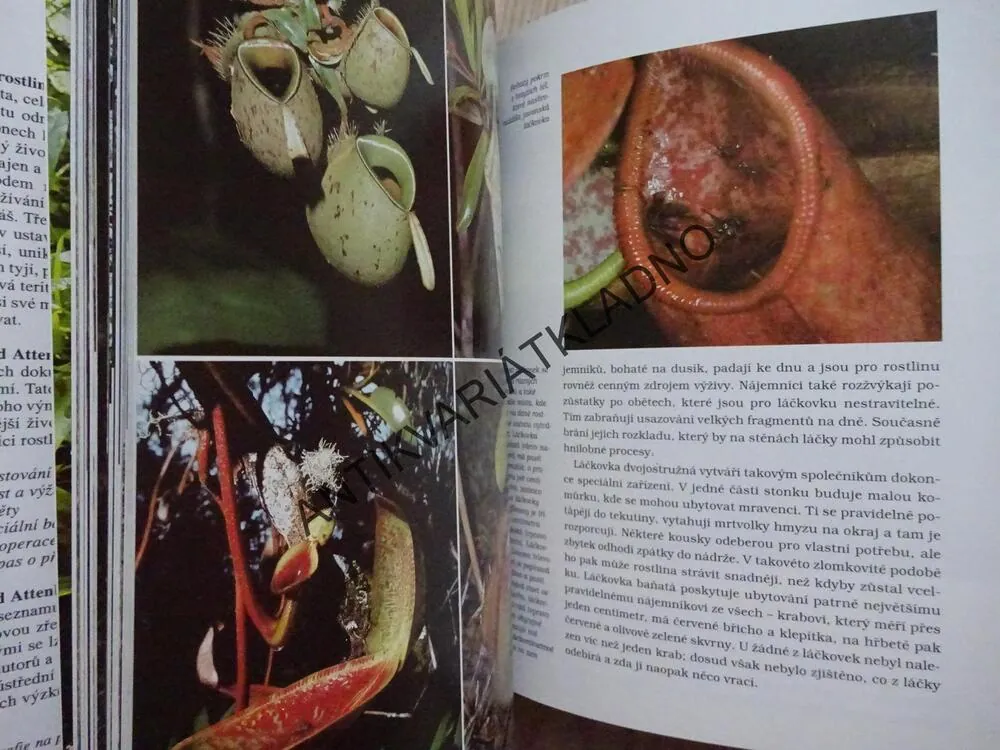 SOUKROMÝ ŽIVOT ROSTLIN, DAVID ATTENBOROUGH