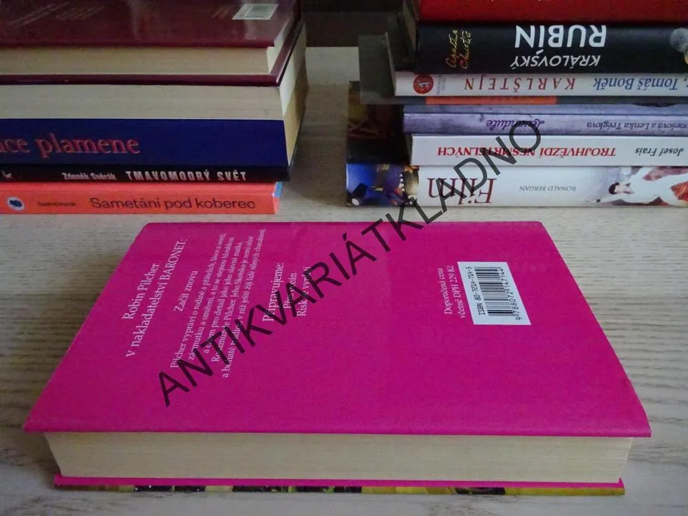 ZAČÍT ZNOVU, ROBIN PILCHER, **an