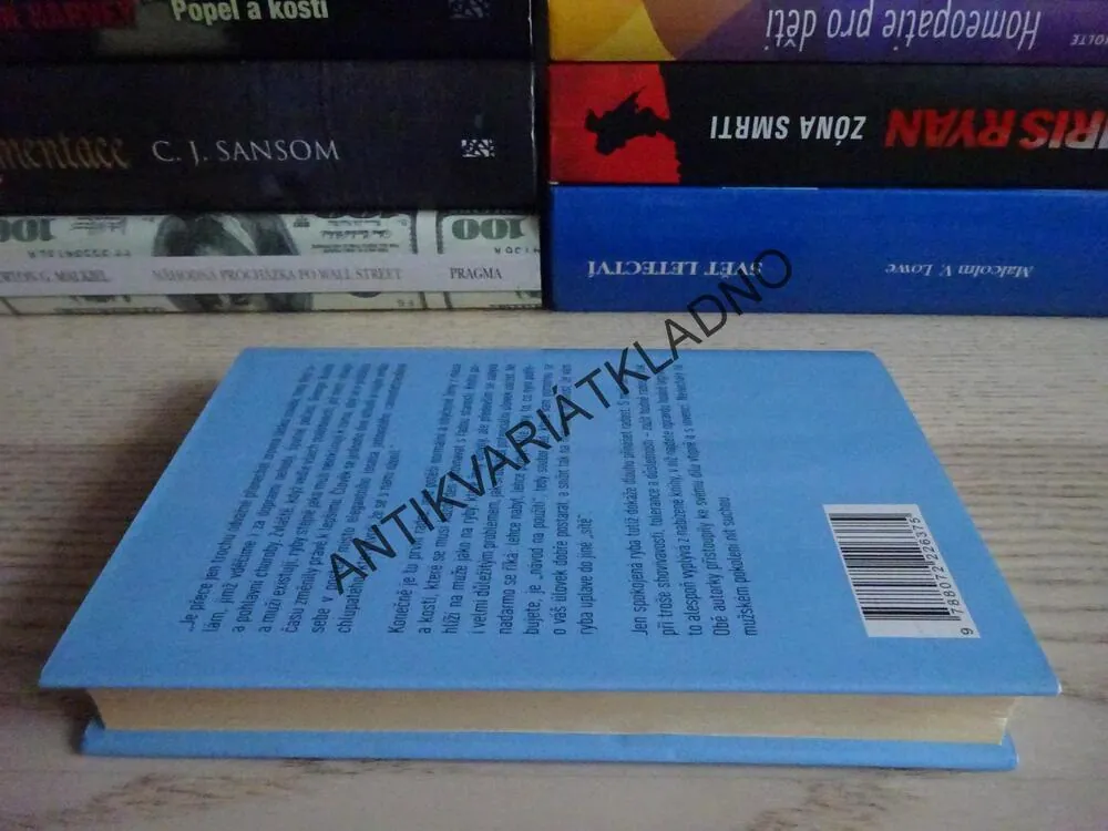 NÁVOD NA POUŽITÍ MUŽŮ, SUSANNE FRÖHLICH, **an