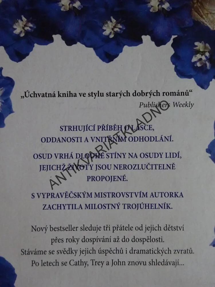 DLOUHÉ STÍNY, LEILA MEACHAMOVÁ **an