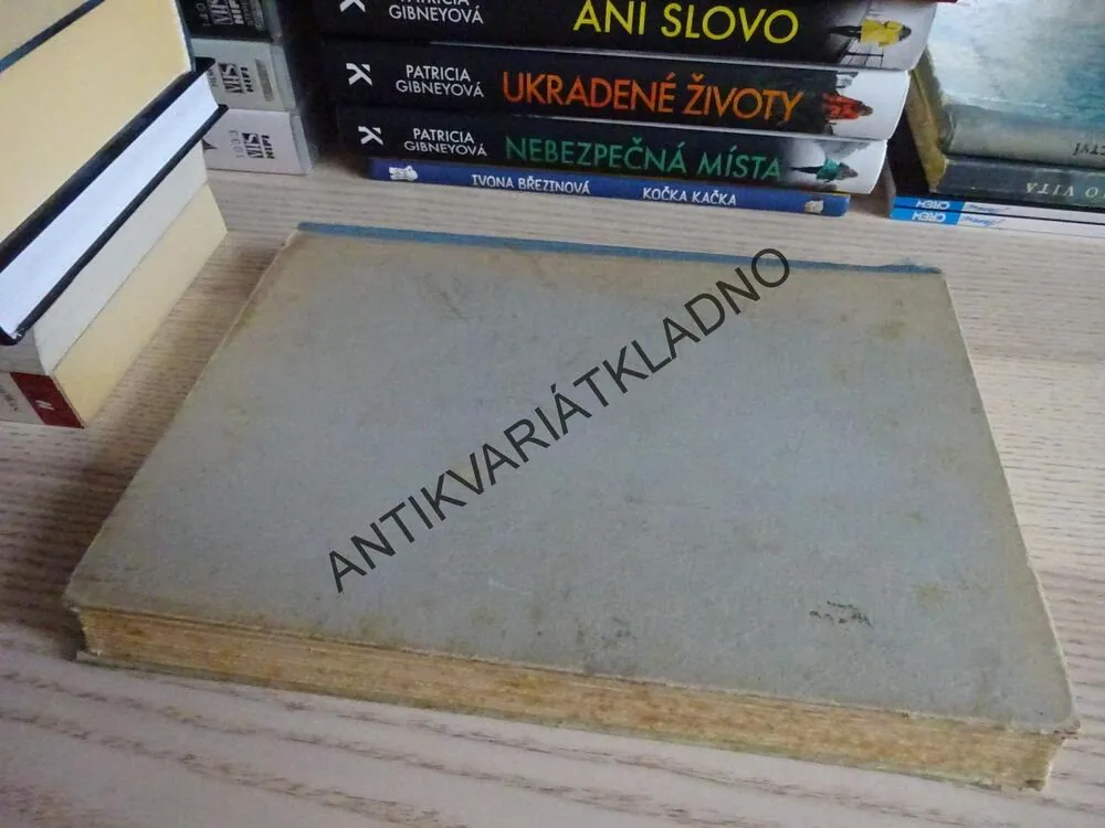 BÍLÁ JACHTA V OBLACÍCH, TOM PANSEN, **an