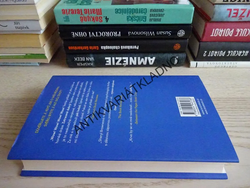 VZORNÁ CHŮVA, SHERYL BROWNEOVÁ, **an