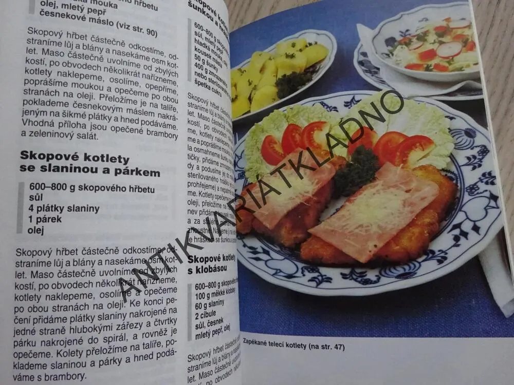 MINUTKY Z MASA, DRŮBEŽE, RYB A J., KUCHAŘINKA 2, **an