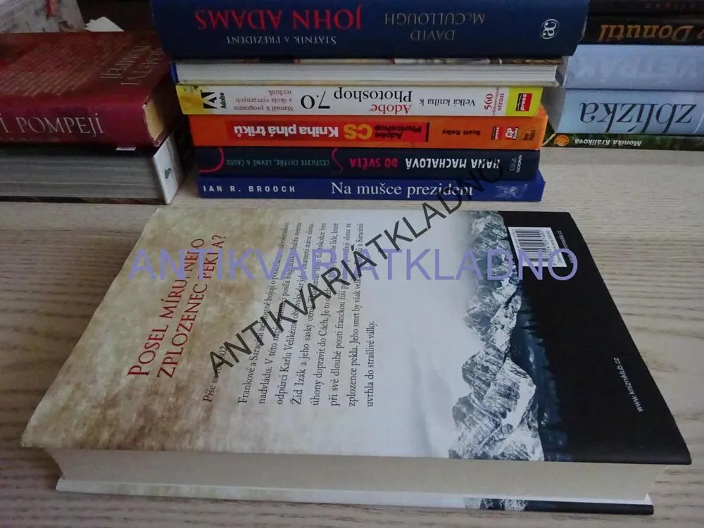 SLON PRO KARLA VELIKÉHO, DIRK HUSEMANN, **an