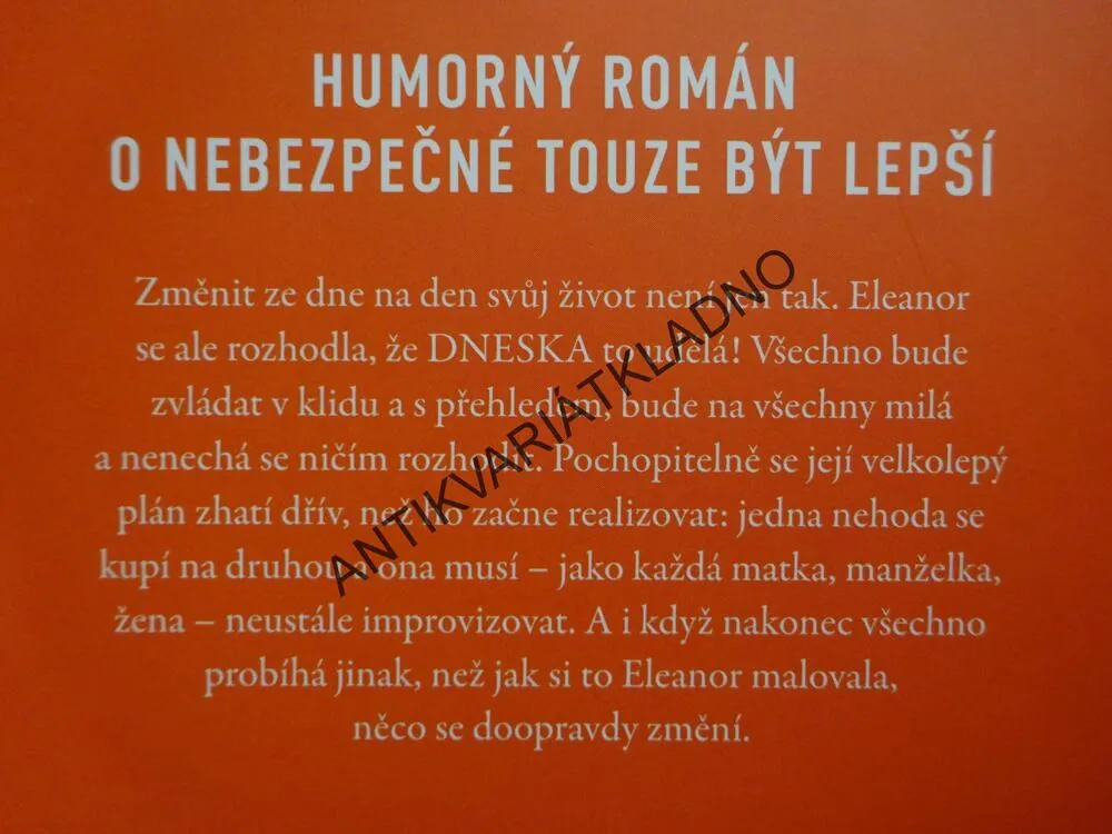 DNESKA BUDE VŠECHNO JINAK, MARIA SEMPLEOVÁ, **an