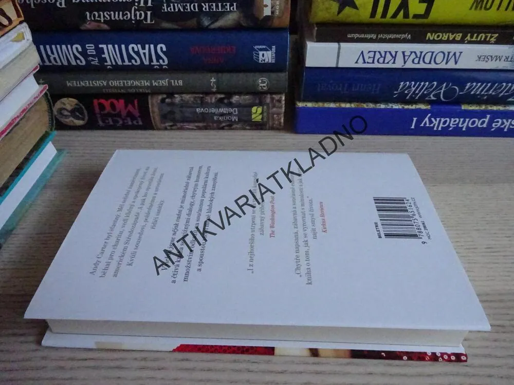 VŠICHNI JSME NĚJAK VADNÍ, MATTHEW NORMAN, **an