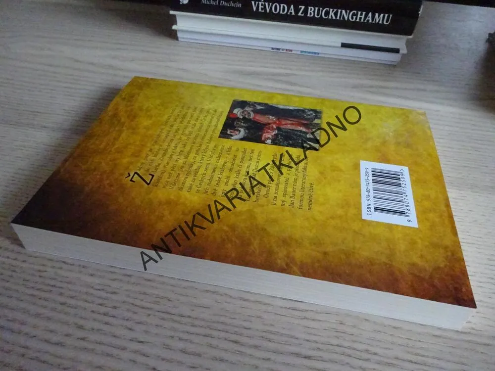 ROŽMBERKOVÉ - PRVNÍ PO KRÁLI, JAN BAUER, **an