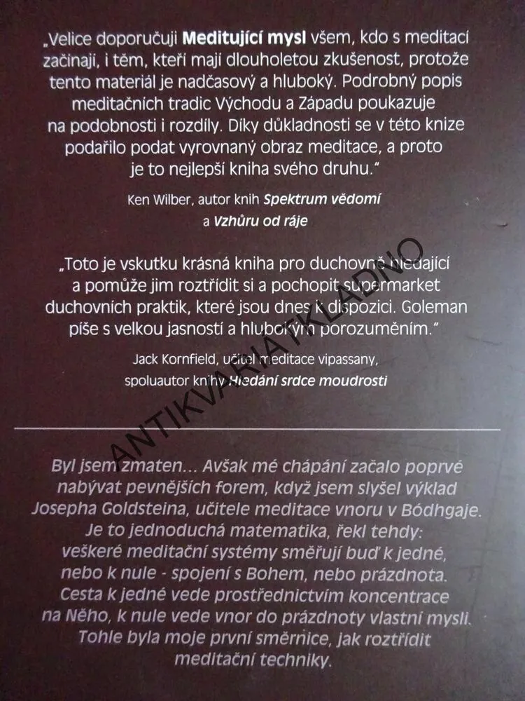 MEDITUJÍCÍ MYSL, TYPY MEDITAČNÍ ZKUŠENOSTI, DANIEL GOLEMAN, **an