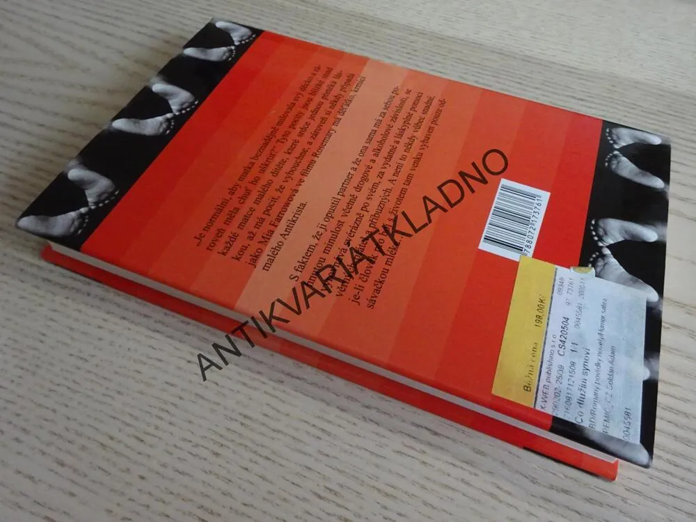 CO DLUŽÍM SYNOVI, ANNE LAMOTTOVÁ, **an