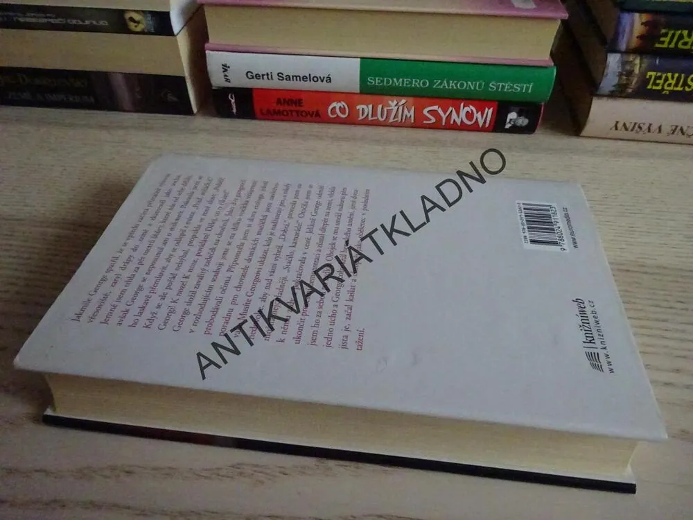 MŮJ ŽIVOT S GEORGEM, JUDITH SUMMERSOVÁ, **an
