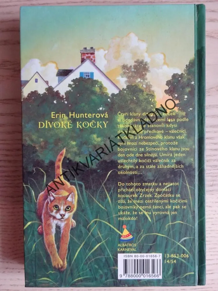 DIVOKÉ KOČKY, ERIN HUNTEROVÁ, **an