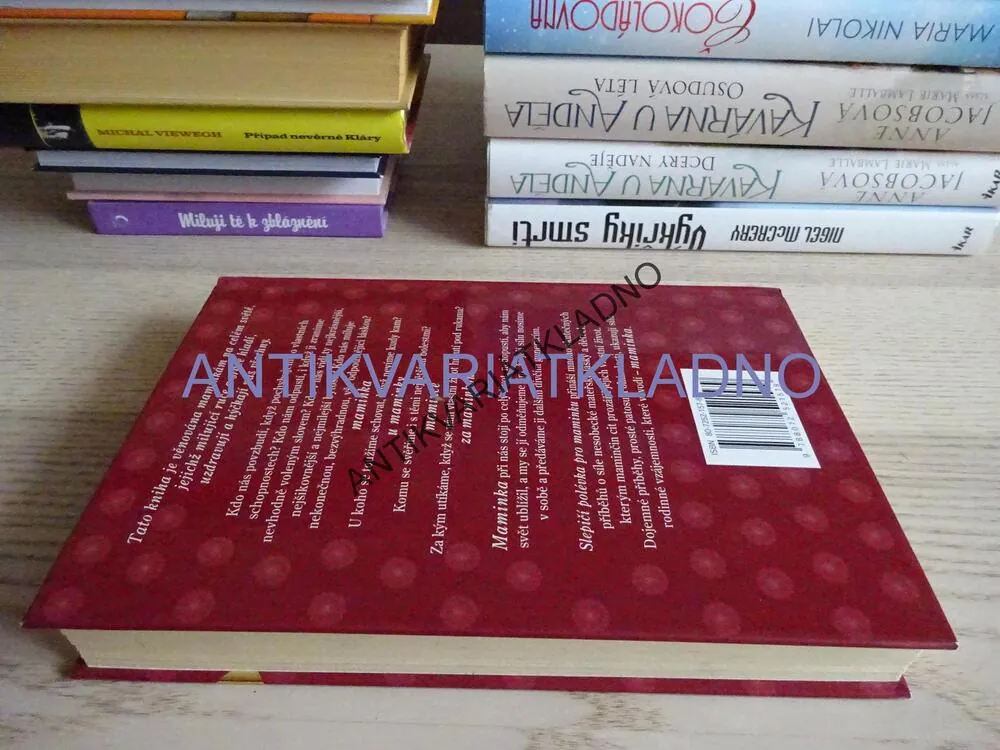 SLEPIČÍ POLÉVKA PRO MAMINKU, JACK CANFIELD, MARK VICTOR HANSEN, **an