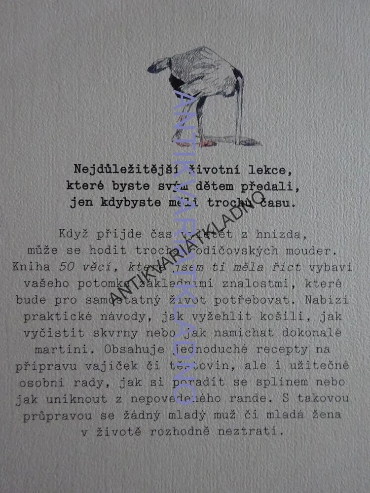 50 VĚCÍ, KTERÉ JSEM TI MĚLA ŘÍCT, RADY DO ŽIVOTA, POLLY POWELL, **an