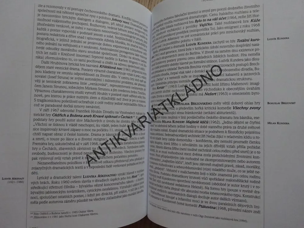 PANORAMA ČESKÉ LITERATURY (1), DO ROKU 1989, LUBOMÍR MACHALA A KOL.