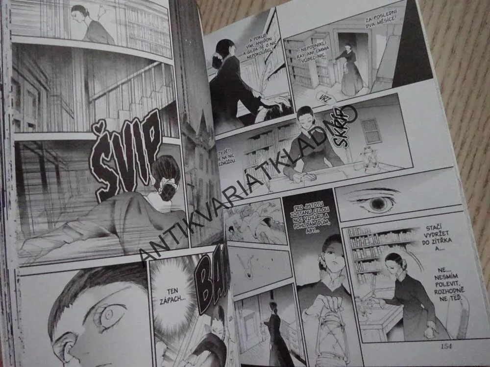 ZASLÍBENÁ ZEMĚ NEZEMĚ 4, MANGA KOMIKS, **an