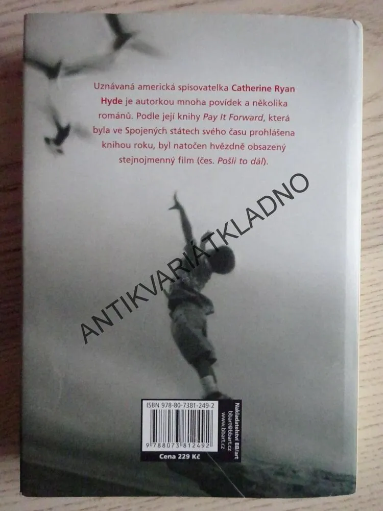 LÁSKA V ČASE PŘÍTOMNÉM, CATHERINE RYAN HYDEOVÁ, **an