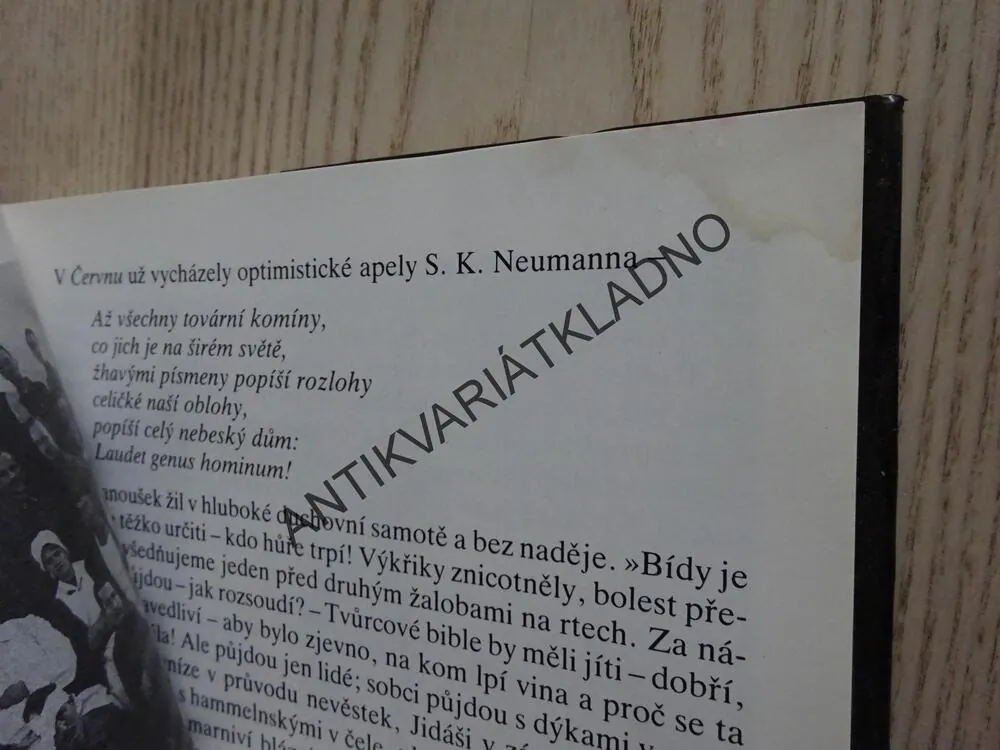 FRANTIŠEK JANOUŠEK, JINDŘICH CHALUPECKÝ, **an