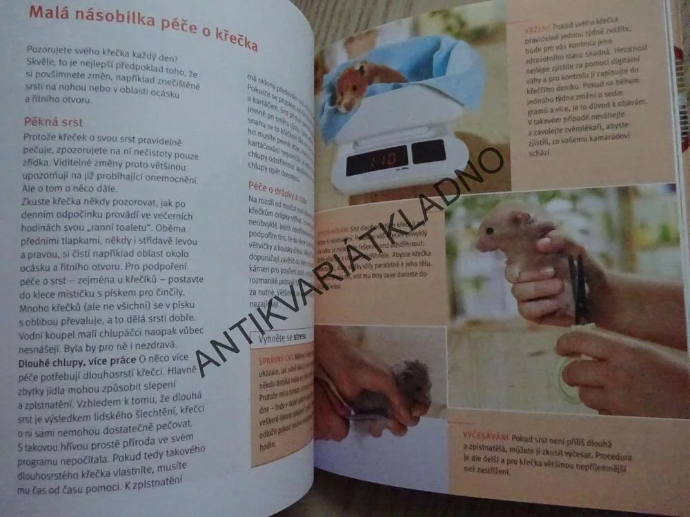 KŘEČEK, PETER FRITZSCHE, **an