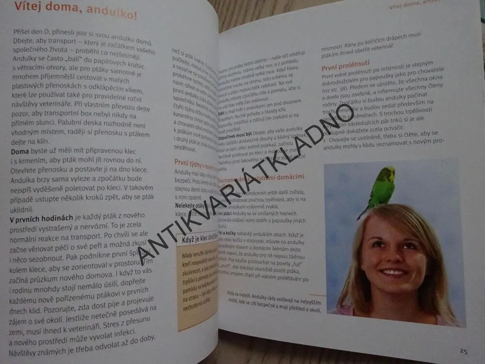 ANDULKA, HILDEGARD NIEMANN, **an