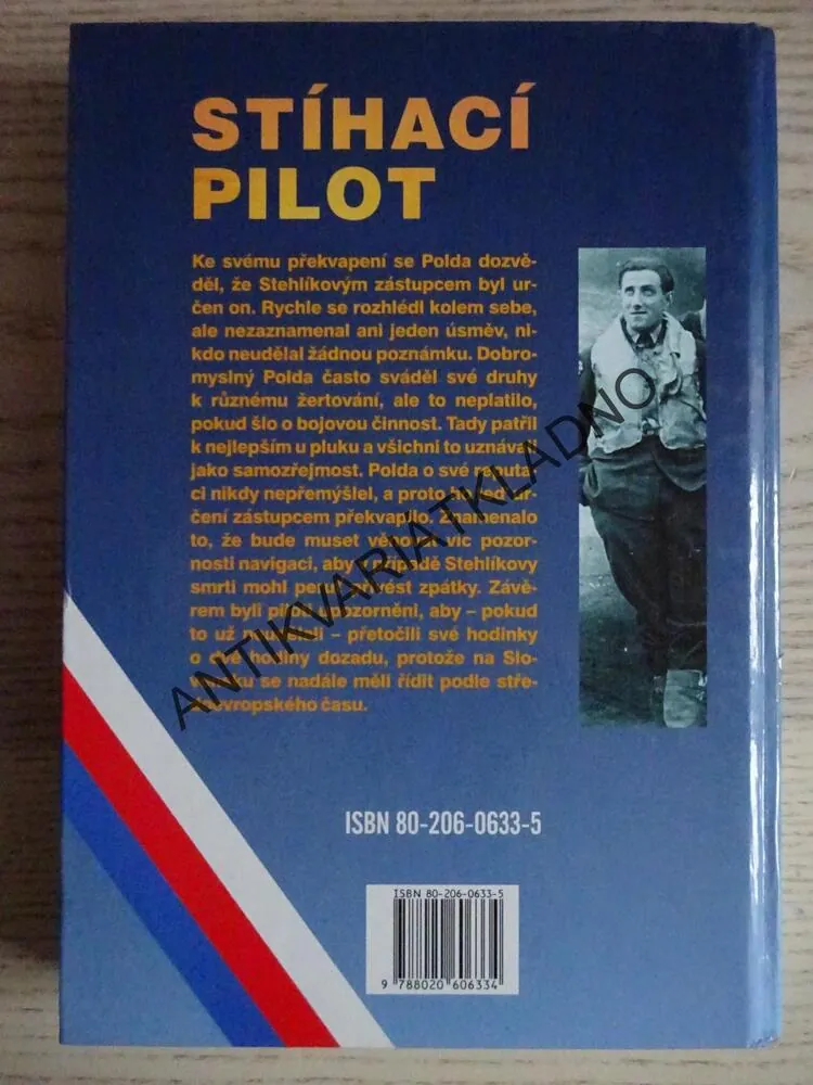 STÍHACÍ PILOT, JIŘÍ RAJLICH, JIŘÍ SEHNAL, **an 