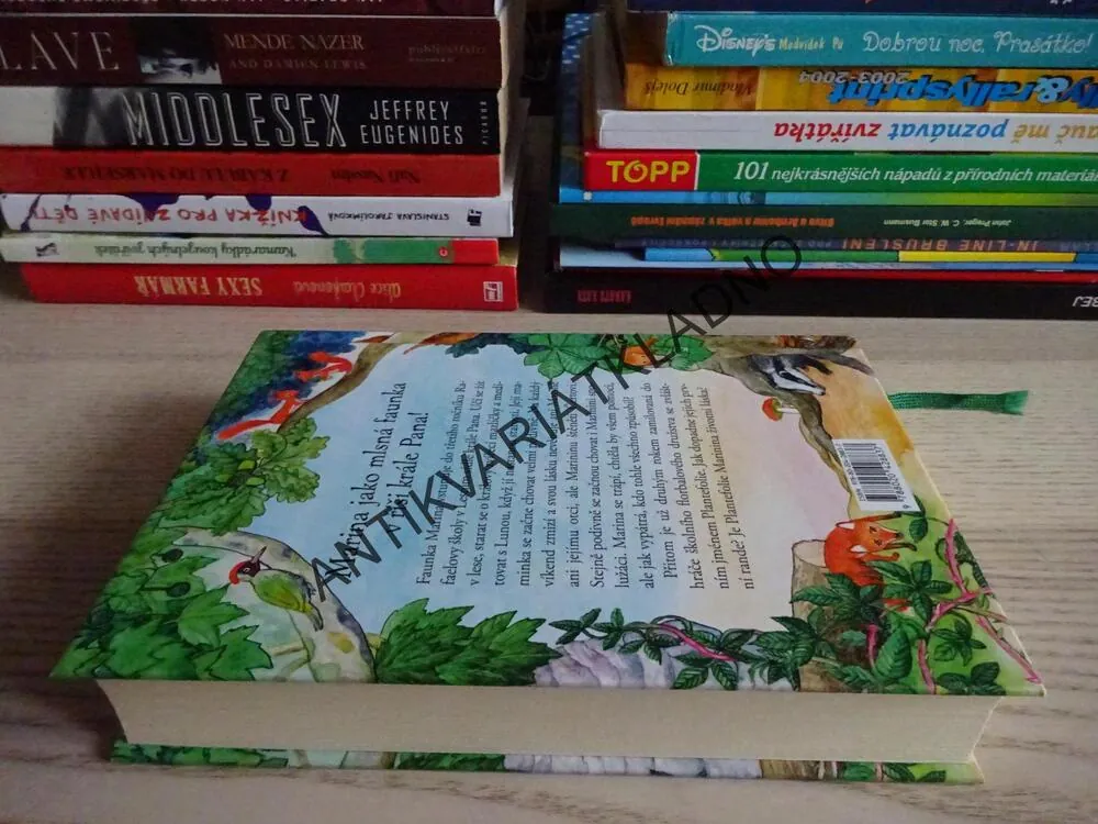 RAFAELOVA ŠKOLA, ROHY FAUNŮ, RENATA ŠTULCOVÁ, **an