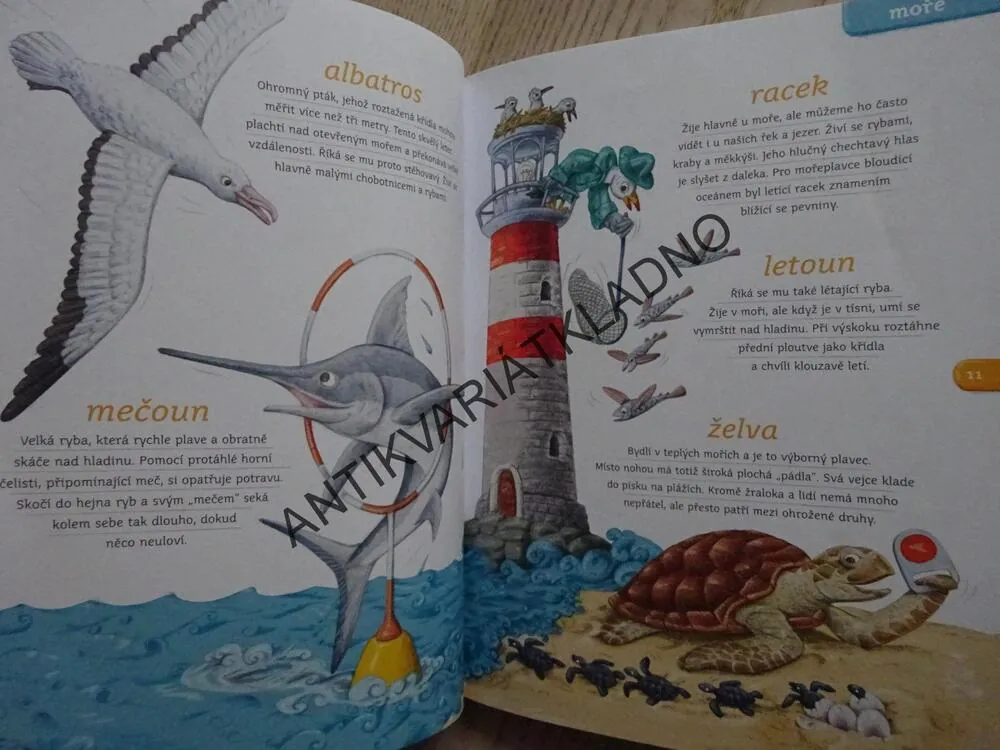 NAUČ MĚ POZNÁVAT ZVÍŘÁTKA, PAVEL PECINA, **an