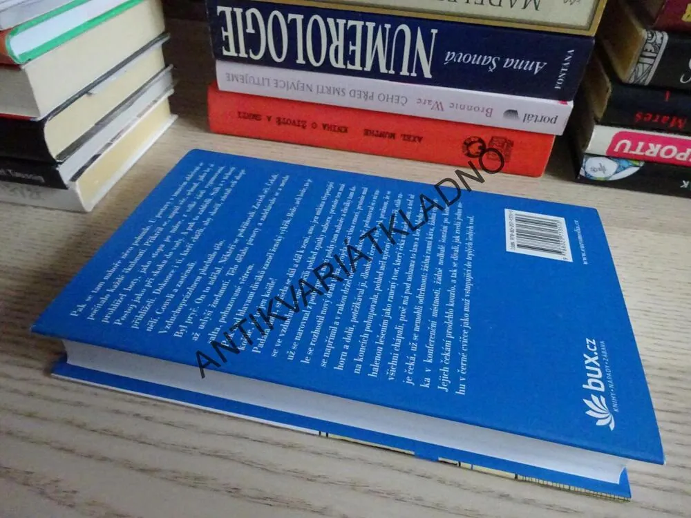 CO SVĚT SVĚTEM STOJÍ, COLUM MCCANN, **an