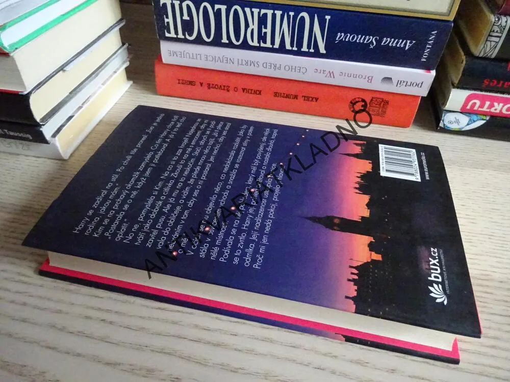 NECHÁPEJ MĚ ŠPATNĚ, MARIANNE KAVANGH, **an