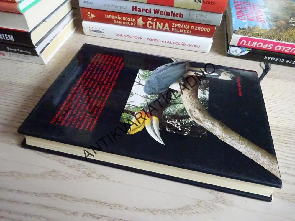 DETEKTIVEM V ŘÍŠI ZVÍŘAT, JAROSLAV MAREŠ, **an
