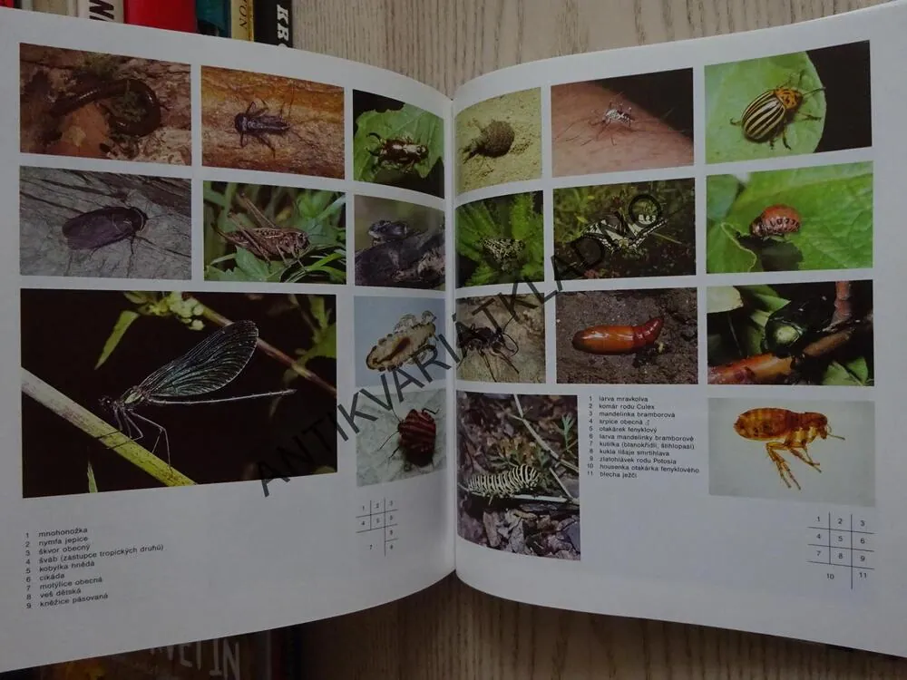ZOOLOGIE, MIROSLAV PAPÁČEK, **an
