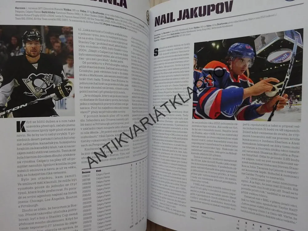 HVĚZDY NHL 2014, ČEŠI A SLOVÁCI V SEZONĚ 2012/13, LEDNÍ HOKEJ, **an