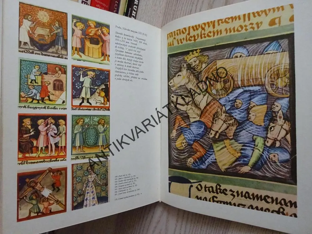 SKRYTÉ POKLADY, ČTENÍ PRO BIBLIOFILA, **an