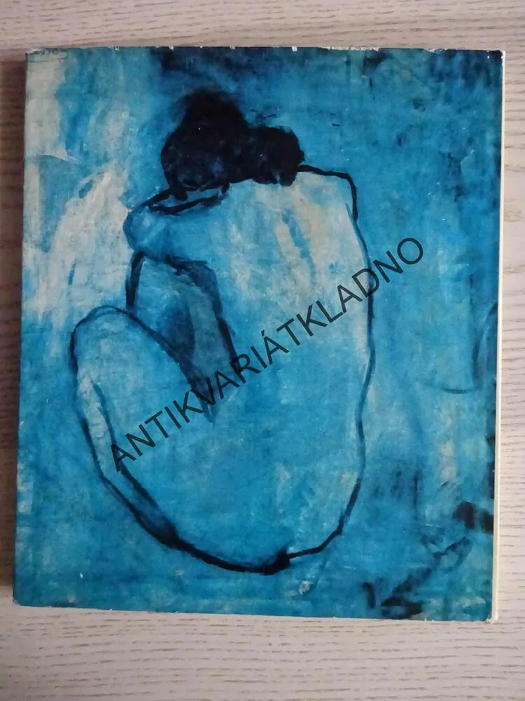 PICASSO, **an