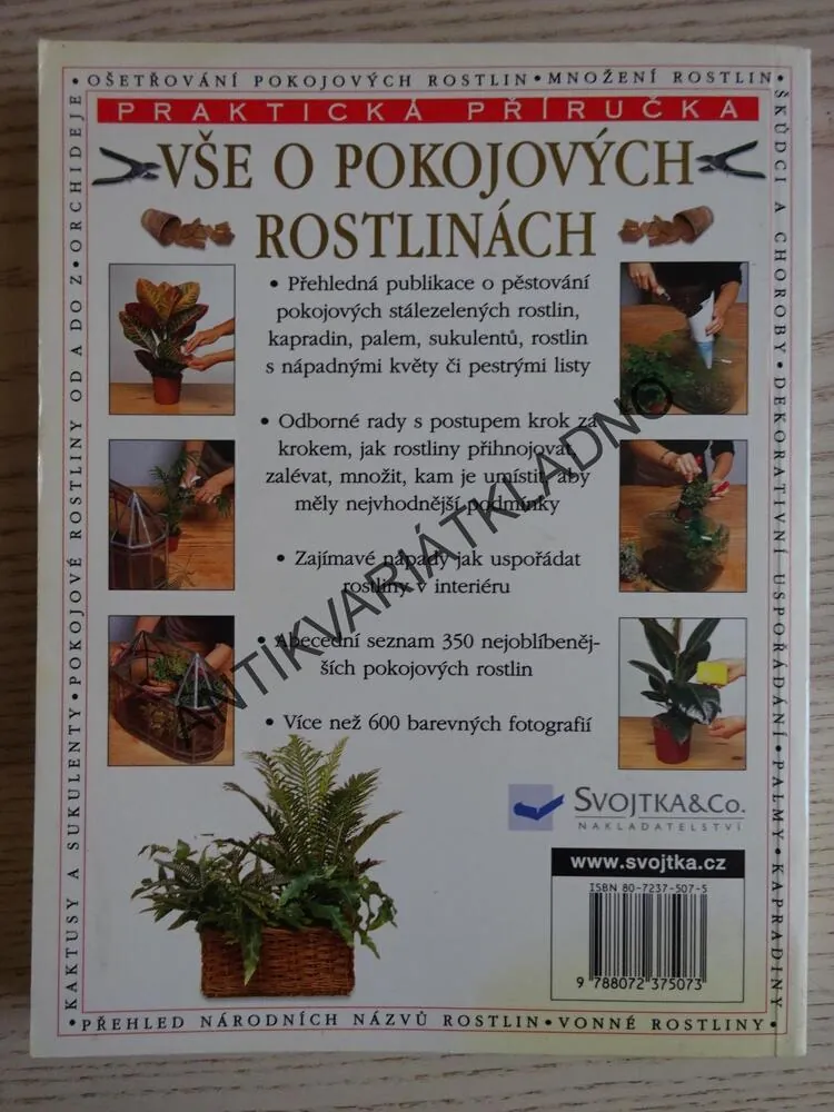 VŠE O POKOJOVÝCH ROSTLINÁCH, PETER MCHOY, **an