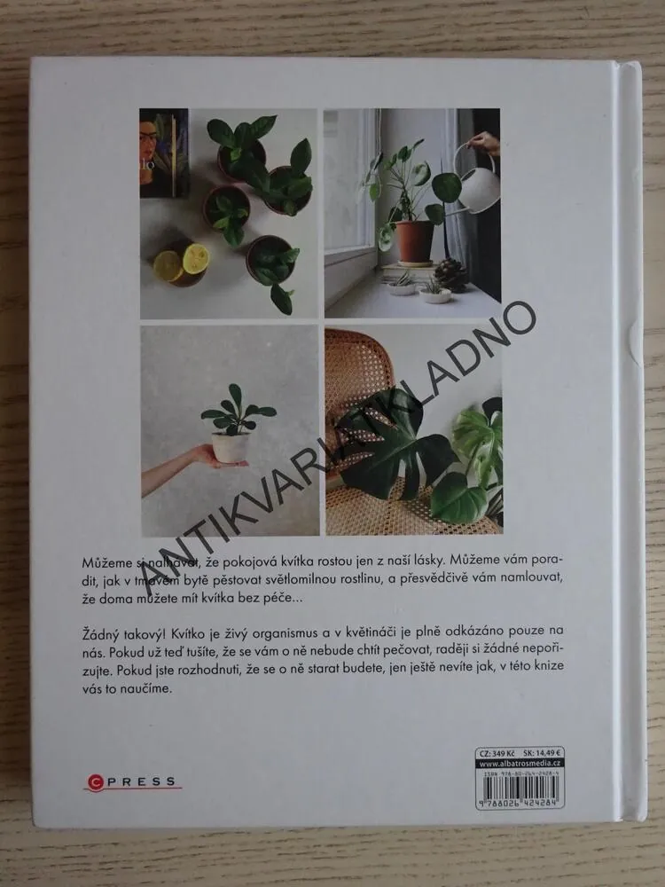 KVÍTKA V BYTĚ, VERONIKA JEŽKOVÁ, NIKOL FRANCOVÁ, **an
