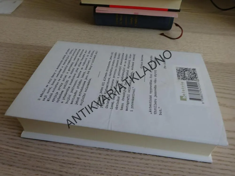 TA DRUHÁ ZAPISOVATELKA, SUZANNE RINDELLOVÁ, **an